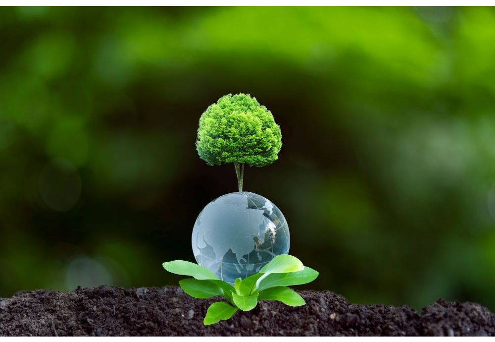 Renewable Heat Incentive: The Impact of Biomass Boilers on CO2 Emissions