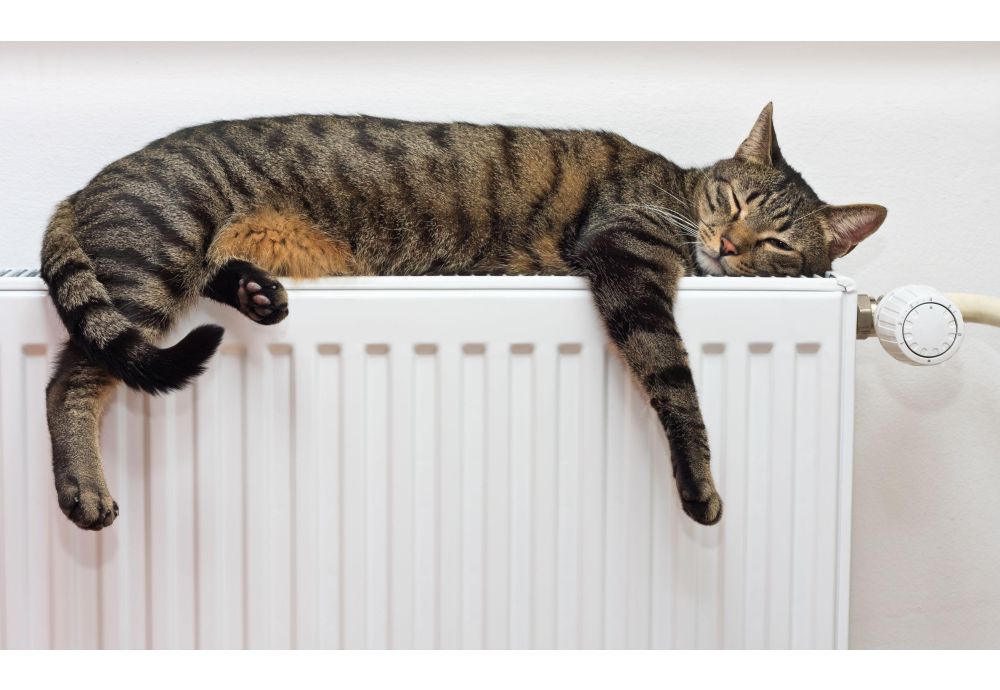 Is your Boiler Leaking? How to Find And Fix Leaks 