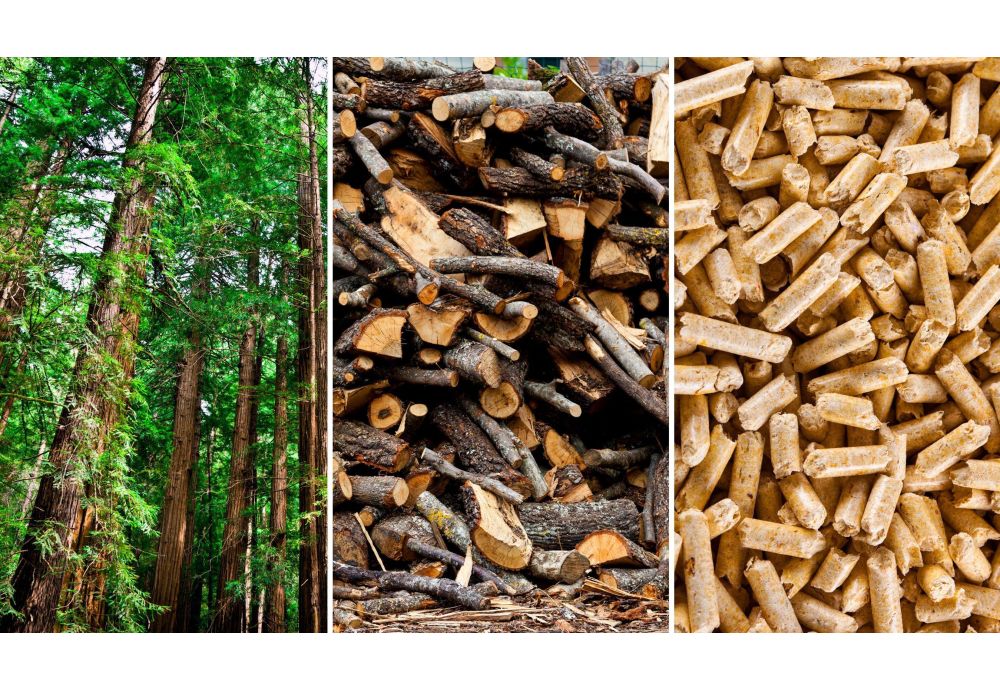 Pellet Stoves: Renewable Heating