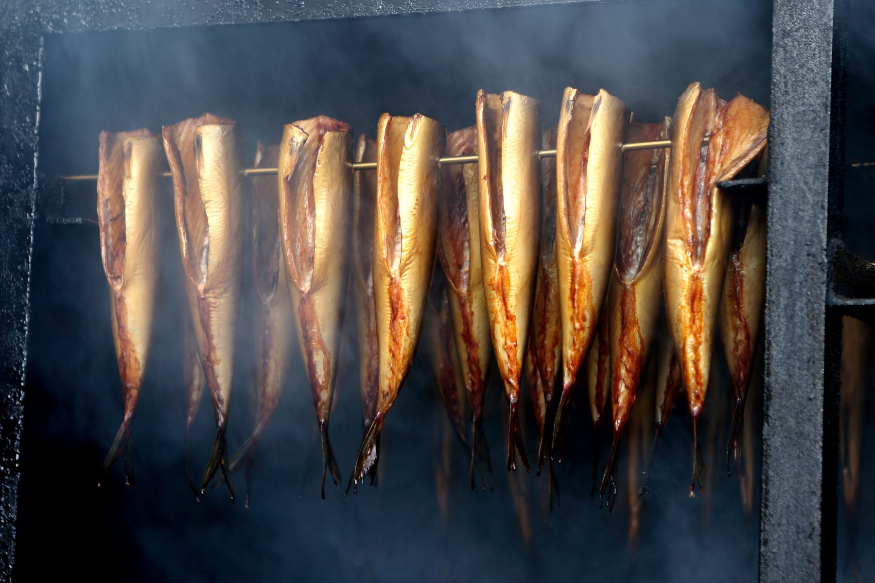Smoking fish smoker